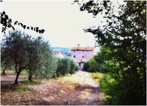 The village of Pian di San Martino