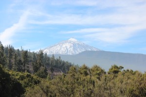 Mt Teide