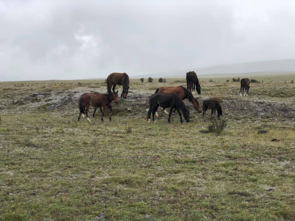 28279006_10155349053363601_3451321296064685759_n